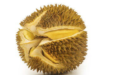 Fresh Durian Fruit Cut Open Showing Golden Yellow Flesh Inside Spiky Shell - Tropical Asian Exotic Food