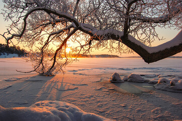 A large crooked tree branch against the backdrop of a frozen lake and a golden sunset sky
