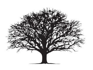 Obraz premium Beautiful Crossroads Tree Illustration in Minimalist 2D Vector Line Art