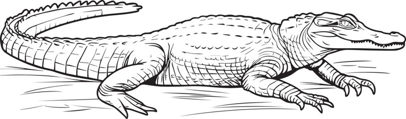 black and white vector line drawing of an alligator on the side, simple lines, no shading, coloring page style, no shadows, minimalistic, simple