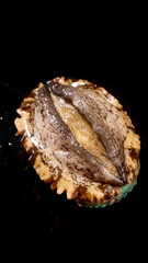 Fresh Large Abalone Closeup - Premium Seafood Ingredient for Gourmet Cuisine