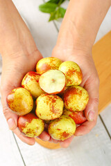 Fresh Winter Jujube Fruits from Shaanxi China Held in Hands Showing Natural Red Speckled Skin and White Flesh Cross Section