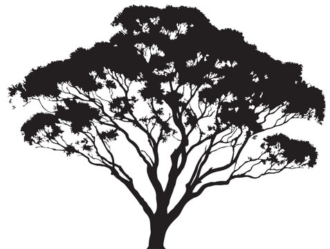 Majestic Ironbark Tree Illustration Depicting Strength in 2D Vector Line Art