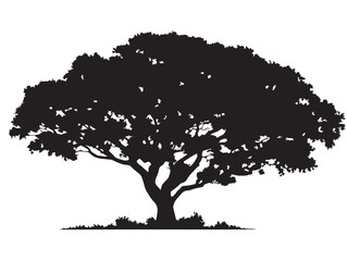 Fototapeta premium Lifeline Tree Silhouette 2D Vector Line Art Design