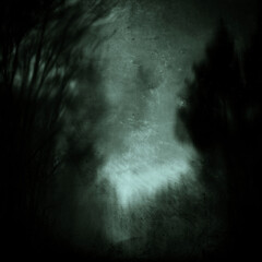 Scary horror forest, grunge spooky nature wallpaper, Halloween background