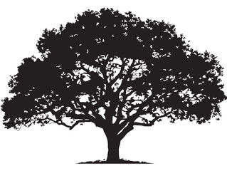Fototapeta premium Elegant Lifeline Tree 2D Vector Line Art Illustration