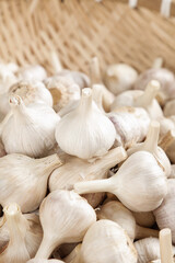 Fresh Dried Garlic Bulbs from Shandong China on Wooden Background