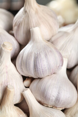 Fresh Shandong Farm Garlic Bulbs - White Organic Vegetables Close-up for Cooking and Agriculture