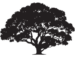 Fototapeta premium Detailed Matriarch Tree 2D Vector Line Art Graphic