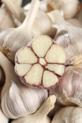 Fresh Shandong Garlic Bulbs Cross Section - Farm Grown Organic Vegetables Close Up