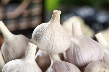 Fresh Shandong Farm Garlic Bulbs at Local Market - Organic Chinese Produce Display
