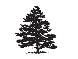 Pine Tree Silhouette 2D Vector Line Art Illustration