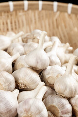 Fresh Garlic Bulbs from Shandong Farm Market in Wicker Basket - Organic Agricultural Produce
