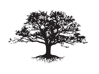 Obraz premium Ancient Rootbound Tree 2D Vector Line Art Drawing