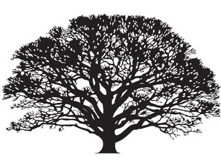 Obraz premium Silent Growth Tree Silhouette 2D Vector Line Artwork