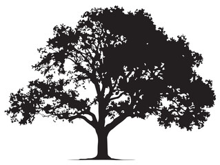 Obraz premium Split Trunk Tree Silhouette 2D Vector Line Art Illustration