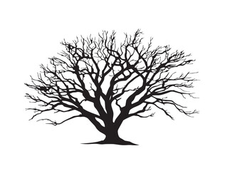 Distinctive Split Trunk Tree 2D Vector Line Art Drawing