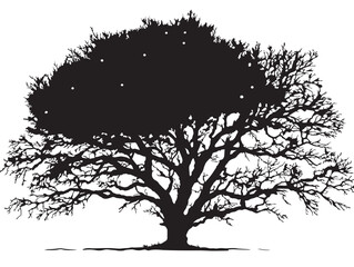 Elegant Starlight Tree 2D Vector Line Art Drawing