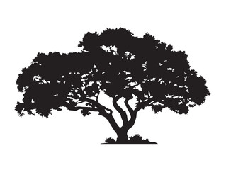 Strong Stonewood Tree 2D Vector Line Art Design