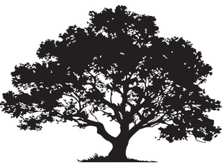 Textured Stonewood Tree Silhouette 2D Vector Line Artwork