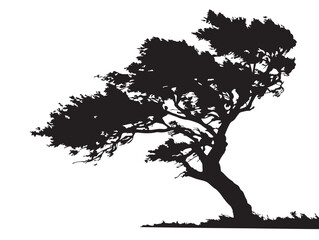 Powerful Storm Bent Tree 2D Vector Line Art Drawing