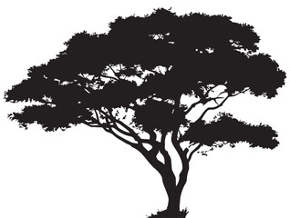 Strongwood Tree Silhouette 2D Vector Line Art Illustration