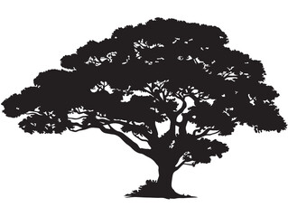 Durable Strongwood Tree 2D Vector Line Art Design