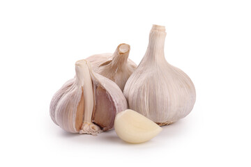 Fresh Garlic Bulbs and Cloves on White Background - Shandong Farmers Market Produce