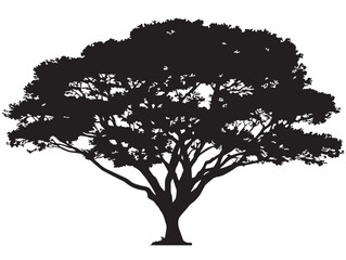 Minimalist Sun Dappled Crown Tree 2D Vector Line Art Design  