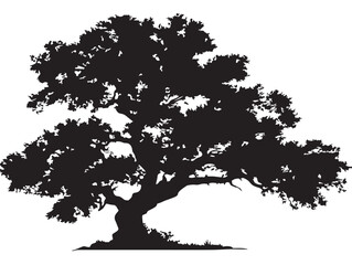 Graceful Sunsinger Tree Artwork in Detailed 2D Vector Line Art  