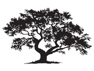 Magical Sylvan Spirit Tree Silhouette 2D Vector Line Art Drawing  
