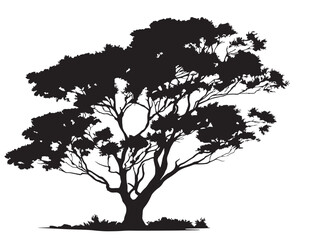 The Tallwood Tree Silhouette in Bold 2D Vector Line Art  