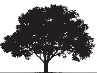 Classic Tallwood Tree Silhouette Artwork in 2D Vector Line Art  
