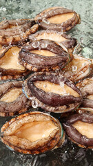 Fresh Large Abalone Seafood Shellfish with Water Droplets - Premium Marine Cuisine Ingredients