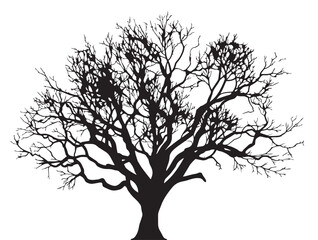 Fine Detailed Tangled Web Tree Artwork 2D Vector Line Art  