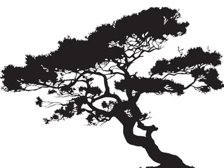 The Twisted Pine Tree in Elegant 2D Vector Line Art Style  