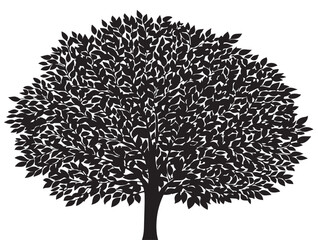 Dreamy Veil of Leaves Tree in Elegant 2D Vector Line Art  
