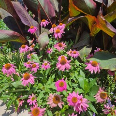 Scenic View of San Saba Pound Mill Park, Texas