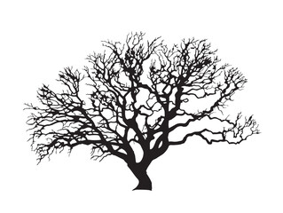 Natural Veins of the Earth Tree Silhouette 2D Vector Line Art  