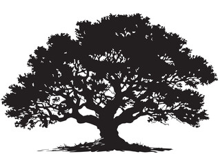 Fototapeta premium Mysterious Watcher Tree Artwork in Refined 2D Vector Line Art Style 
