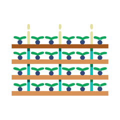 Vineyard rows with plants and supporting stakes in flat design  