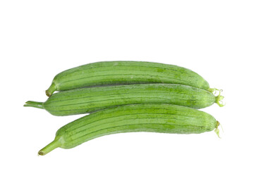 Fresh Long Squash Vegetables from Shouguang Shandong China Isolated on White Background