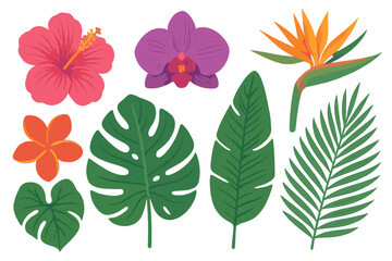 Obraz premium Vibrant exotic tropical flowers set including hibiscus, orchid, and bird of paradise with lush green foliage