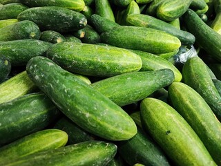 cucumbers in the market