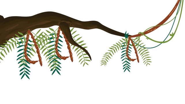 Green Christmas pine tree vector illustration with abstract branches, cones, and leaf ornaments, perfect for nature and winter holiday decoration