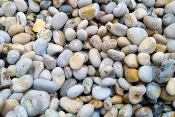 Natural River Pebbles Texture for Background and Designs