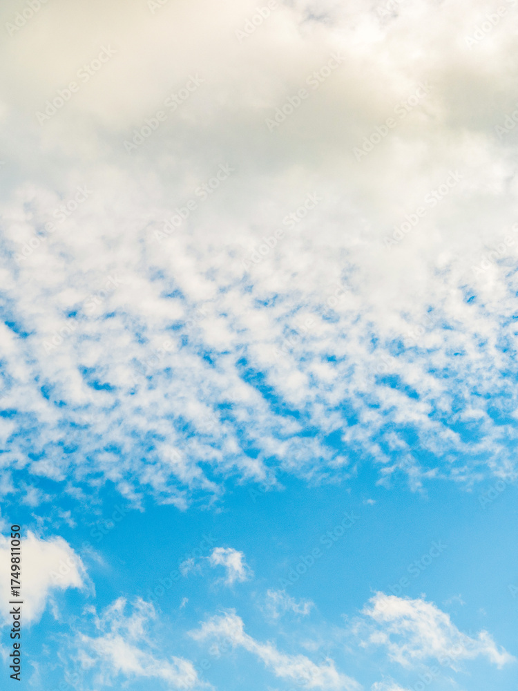 Canvas Prints background with cloud. gloomy sky with overcast clouds. skyscape and cloudscape. breathing freshly. 