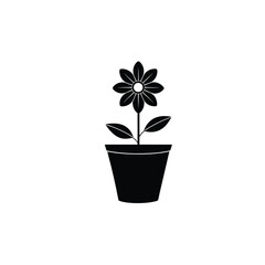 flower in pot