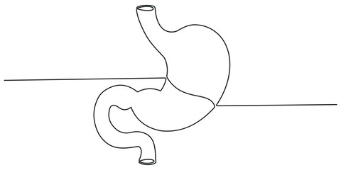 Stomach one continuous line drawing anatomy concept on white background. Single line art stomach minimalism vector illustration