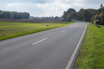 Country road curving through green fields and forest